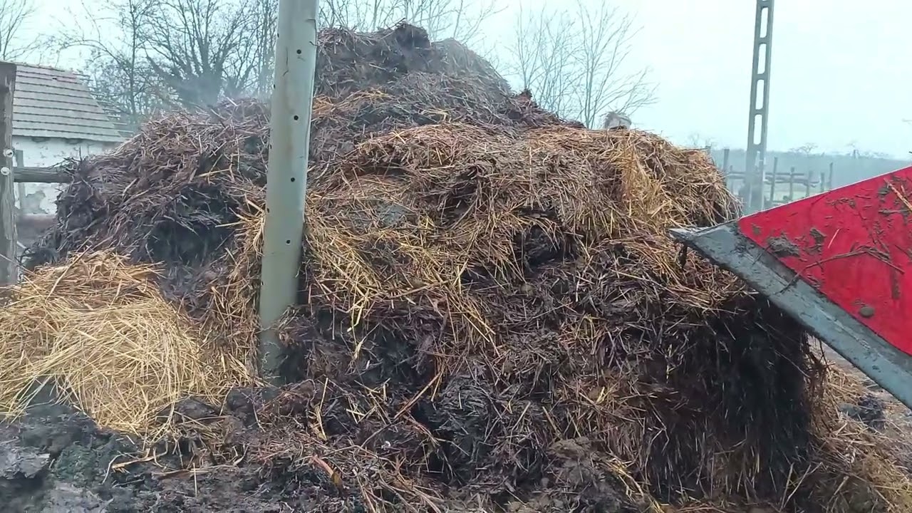 komposztálás gilisztákkal