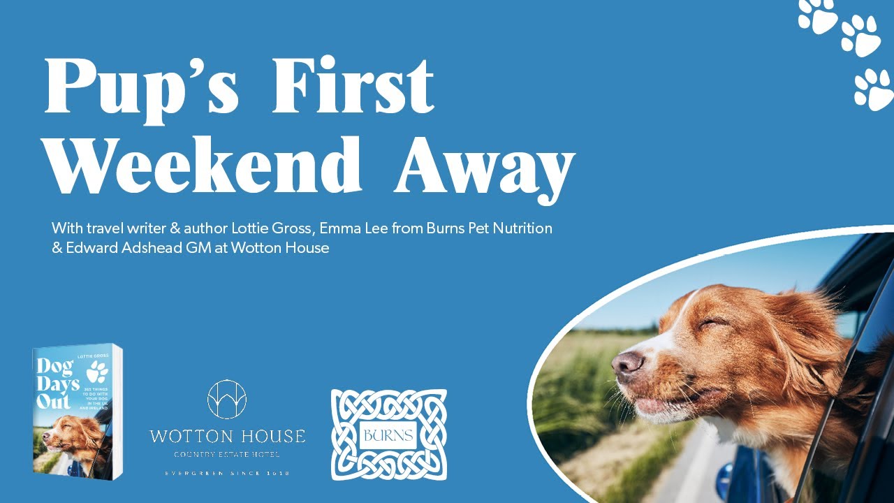 Pup's First Weekend Away