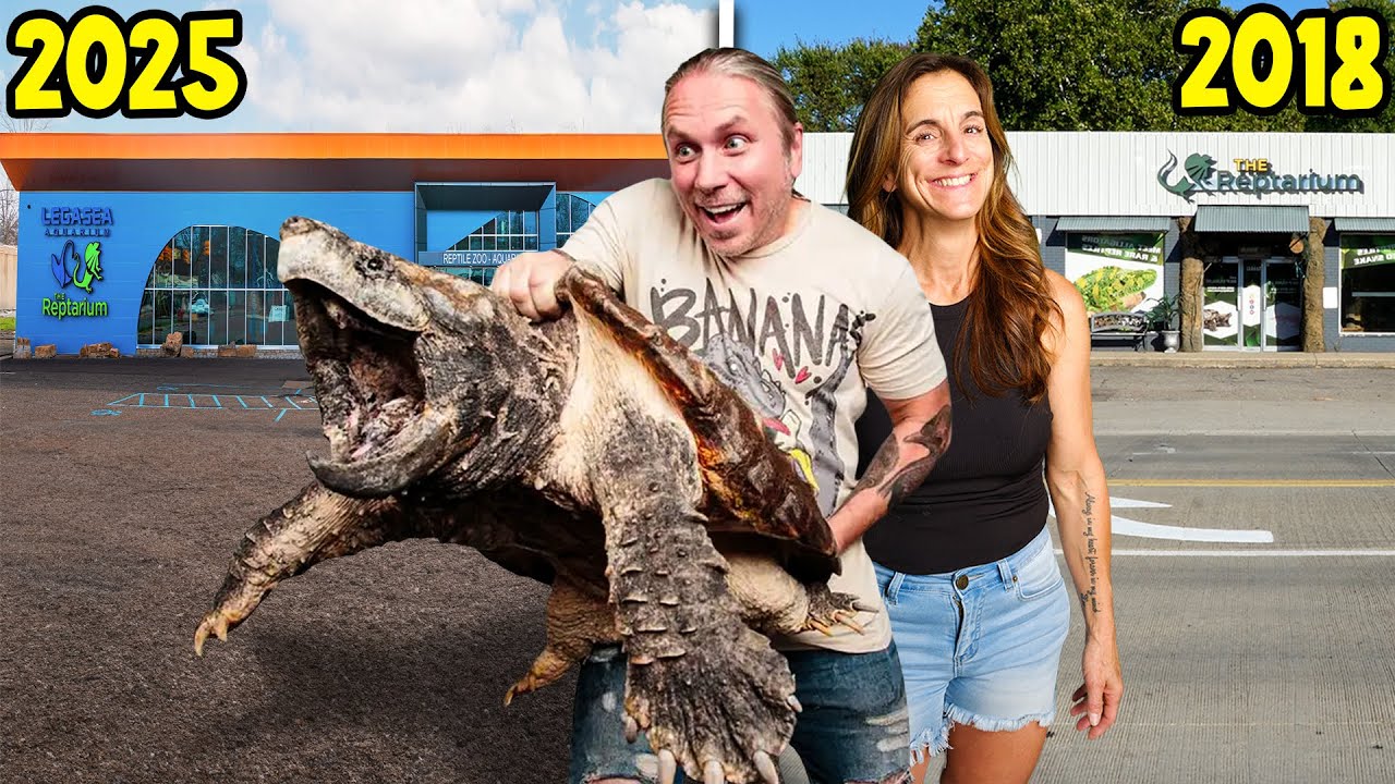 From Empty Building to World-Famous Reptile Zoo & Aquarium (2016-2025)