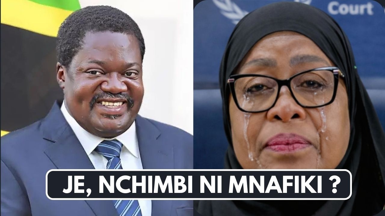 WATANZANIA Wadai Makamu Rais Nchimbi Ni Mnafiki Baada Ya Tamko Hili