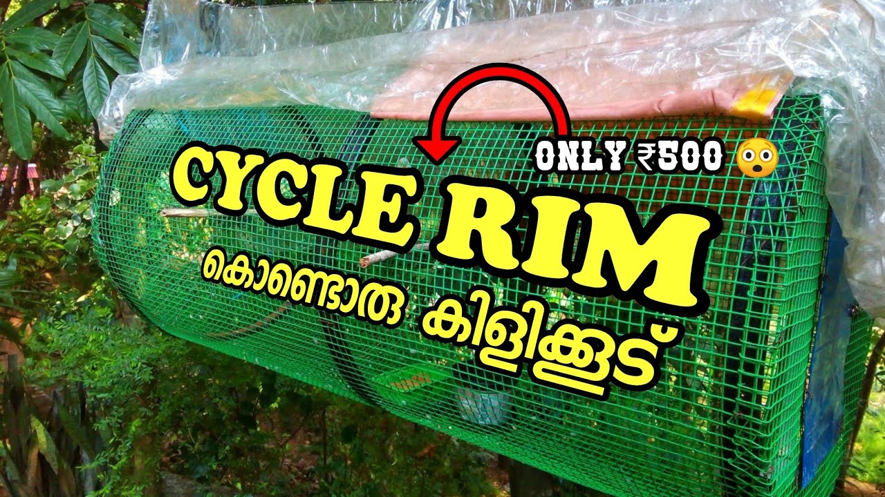 How to make bird cage at cheap price |    ഇനി നിങ്ങൾക്കും simple ആയി ഉണ്ടാക്കാം...