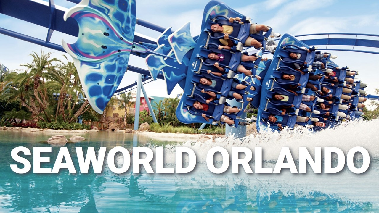 The Best SeaWorld Orlando Roller Coaster and Animal Tour in 4k