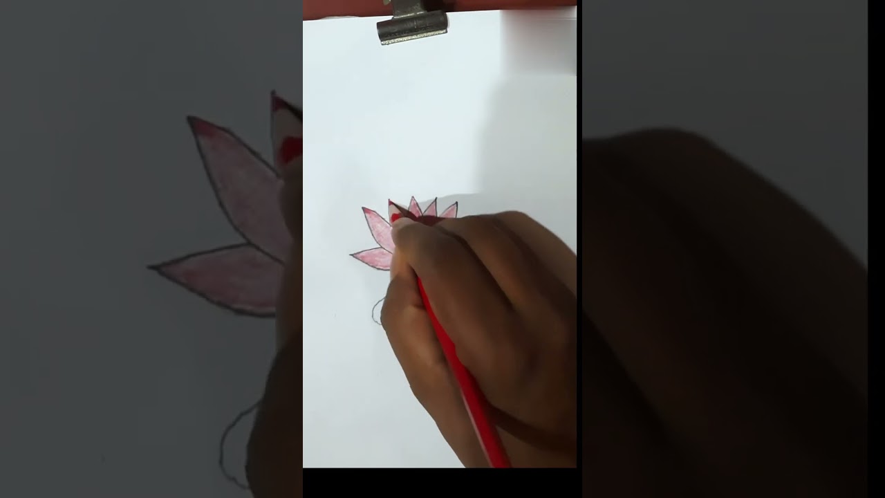 How to draw lotus flower || flower drawing || art || colour drawing 