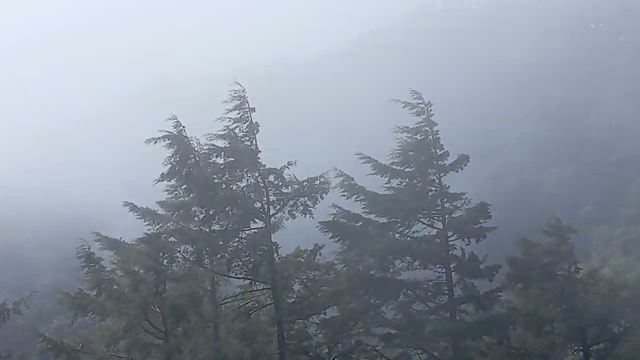 MTB CAP 15 (DESCENDIENDO DESDE EL PEÑON RAJADO DEL PITAL)