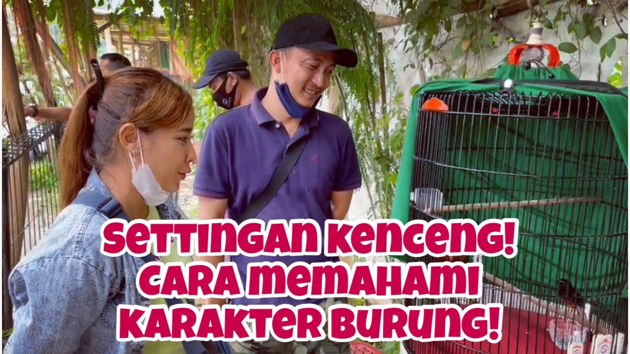 SETINGAN KENCENG! MURAI INI RAIH KONCER