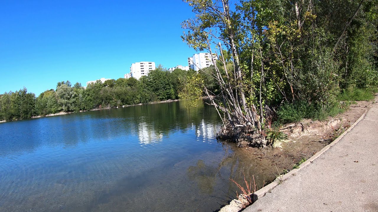 🚴🏻‍♂️Vor Corona⁴ᴷ⁶⁰#Mannheim #Vogelstang #Nature lake relaxation movie