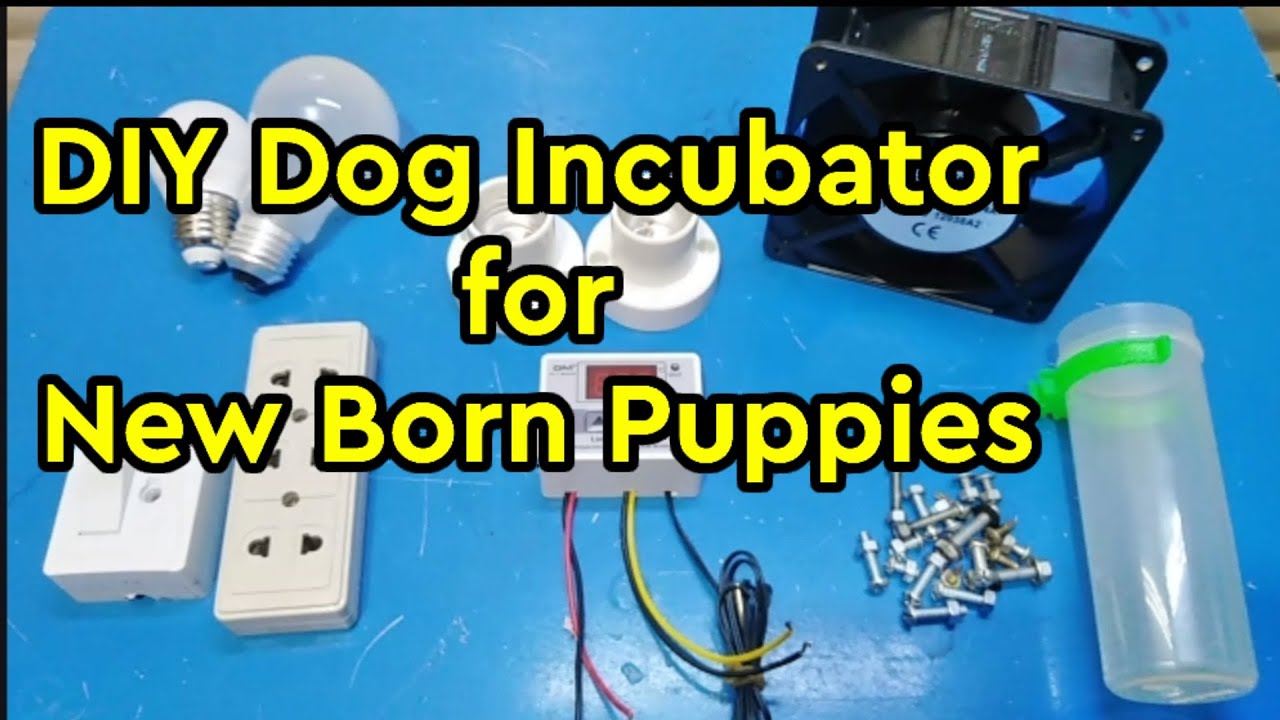 DIY Dog Incubator for New Born Puppies