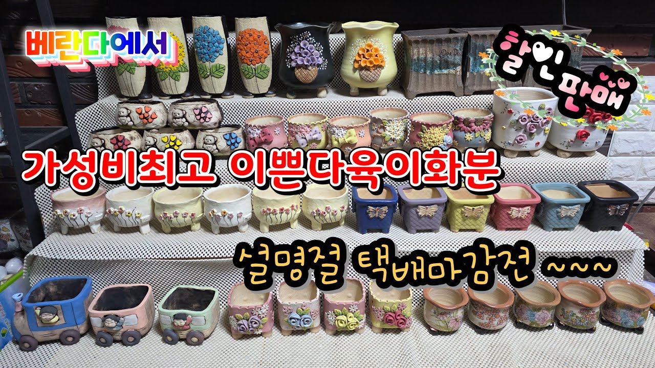 2월 11일 가성비최고 이쁜화분 할인판매 