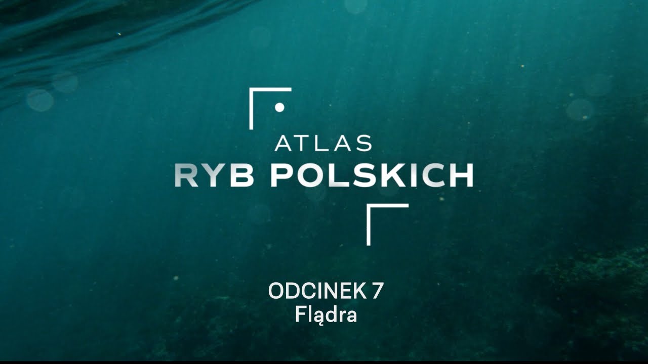 Atlas Ryb Polskich Odc. 7 - Flądra