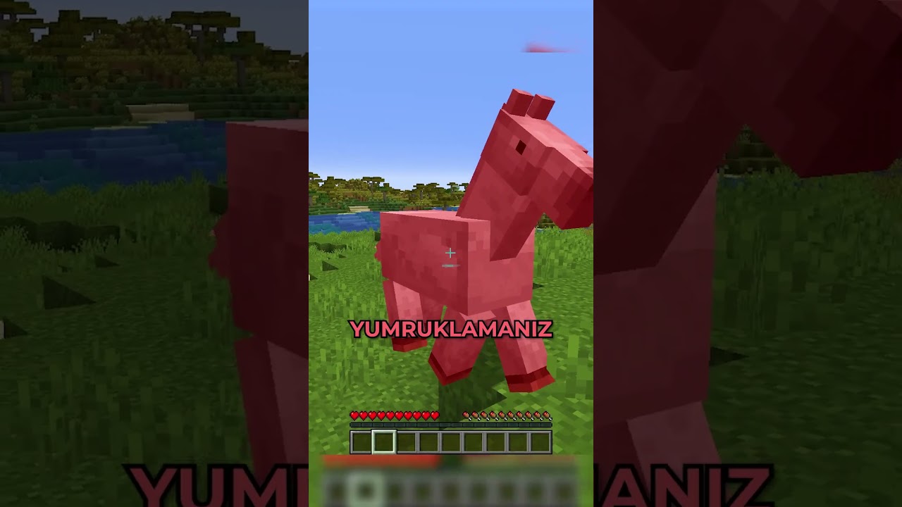 MINECRAFT'TA BULABİLECEĞİNİZ EN HIZLI AT!?! ⛏💎