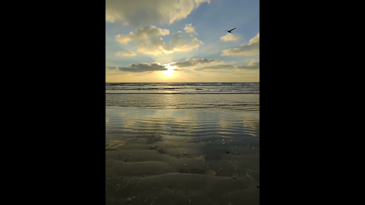 Watch the sun come up with me on the beach! 
