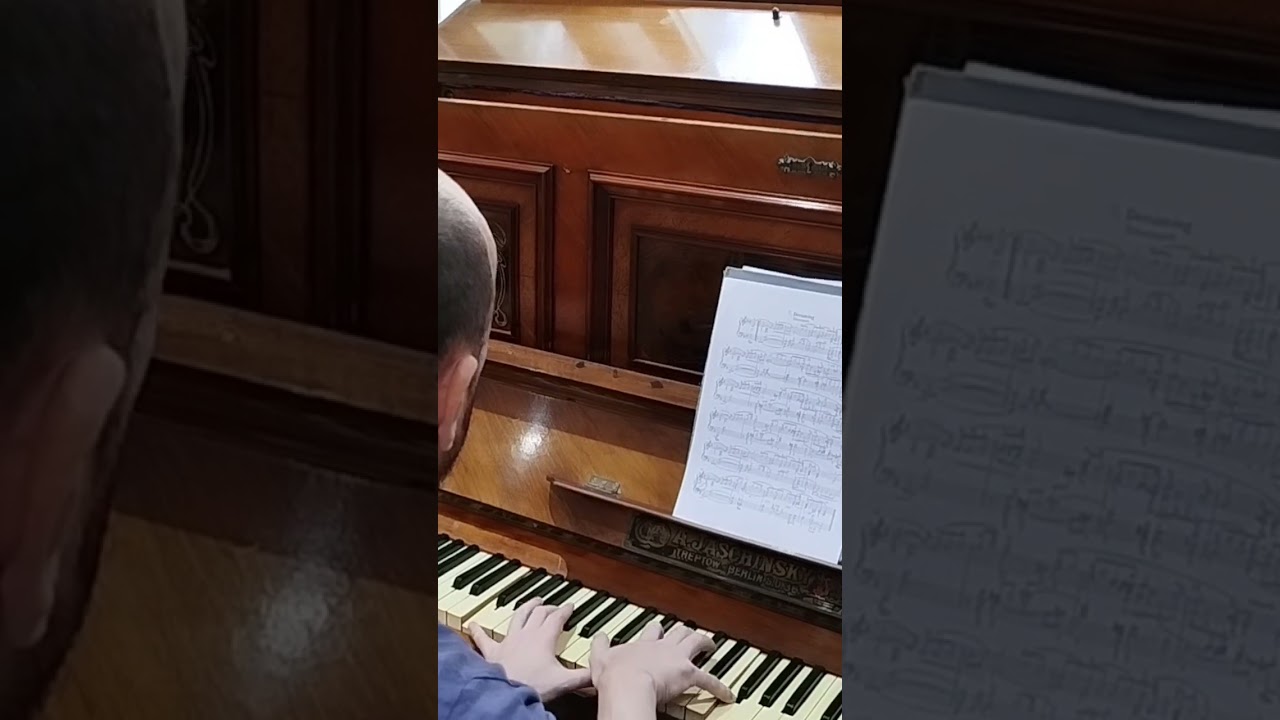 Piano  Jaschinsky, A - 1880. #piano #pianista #schumann #pianotuning