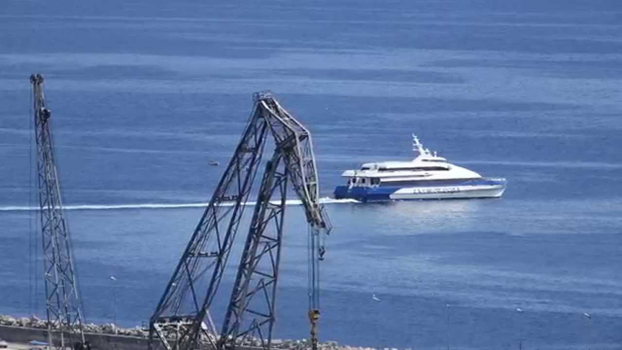 Riječki zaljev: dupini,tune,palamide,veslači,brodice,...