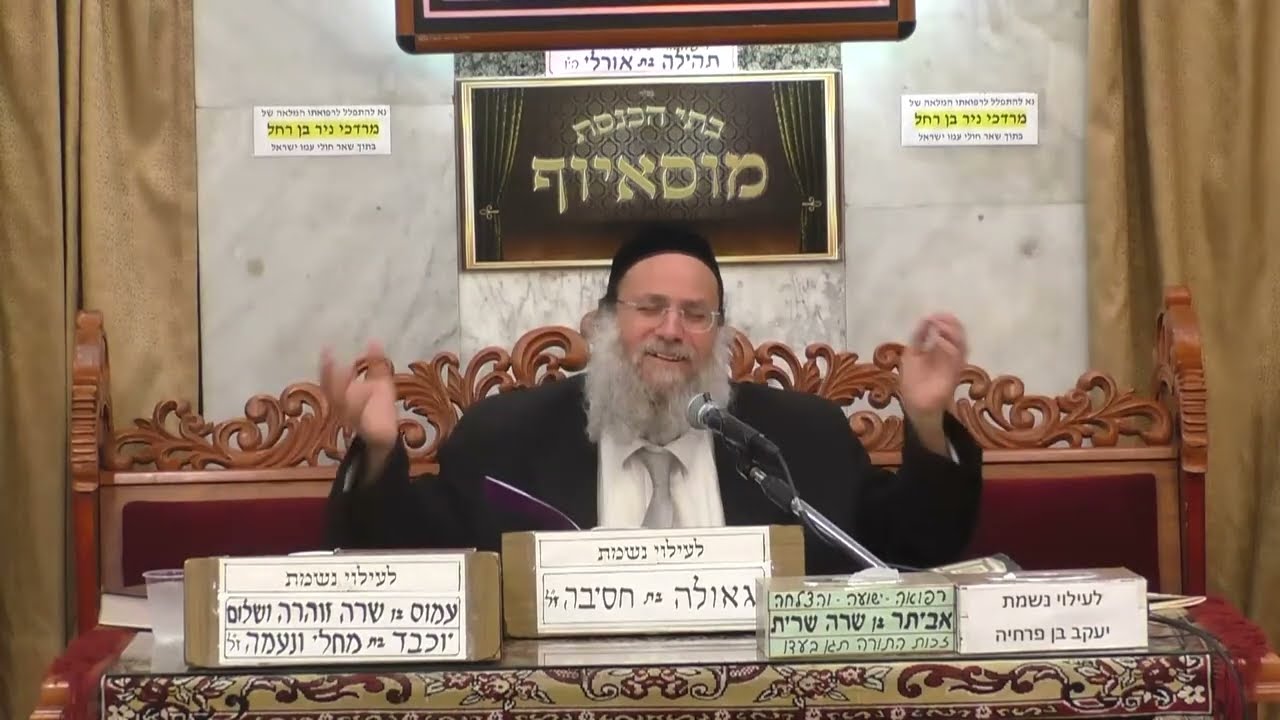 הרב אילן ספרא  •  מלחמות ישראל