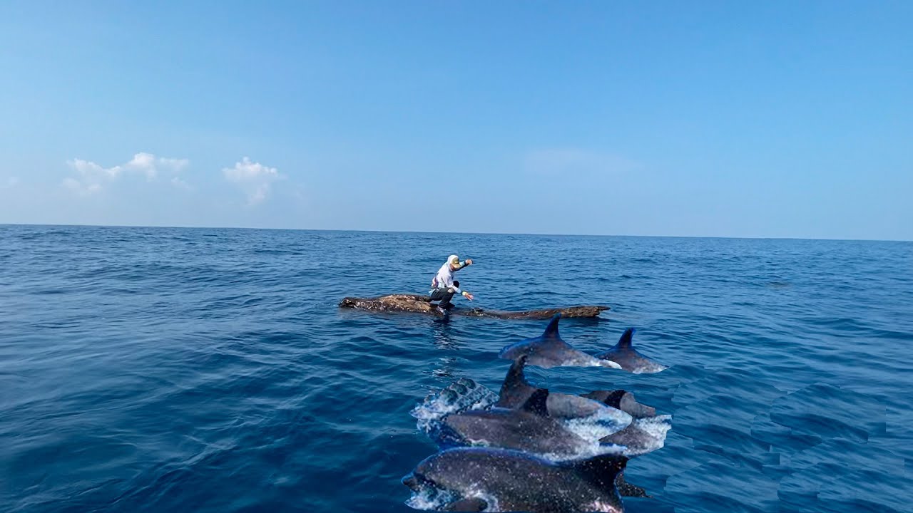 EL FAMOSO ENCANTADOR DE TIBURONES