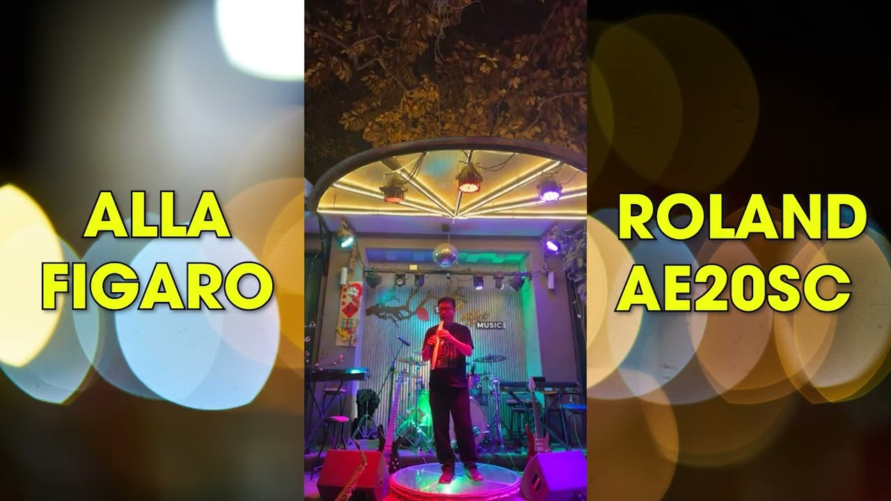 ALLA FIGARO l ROLAND AEROPHONE 20SC