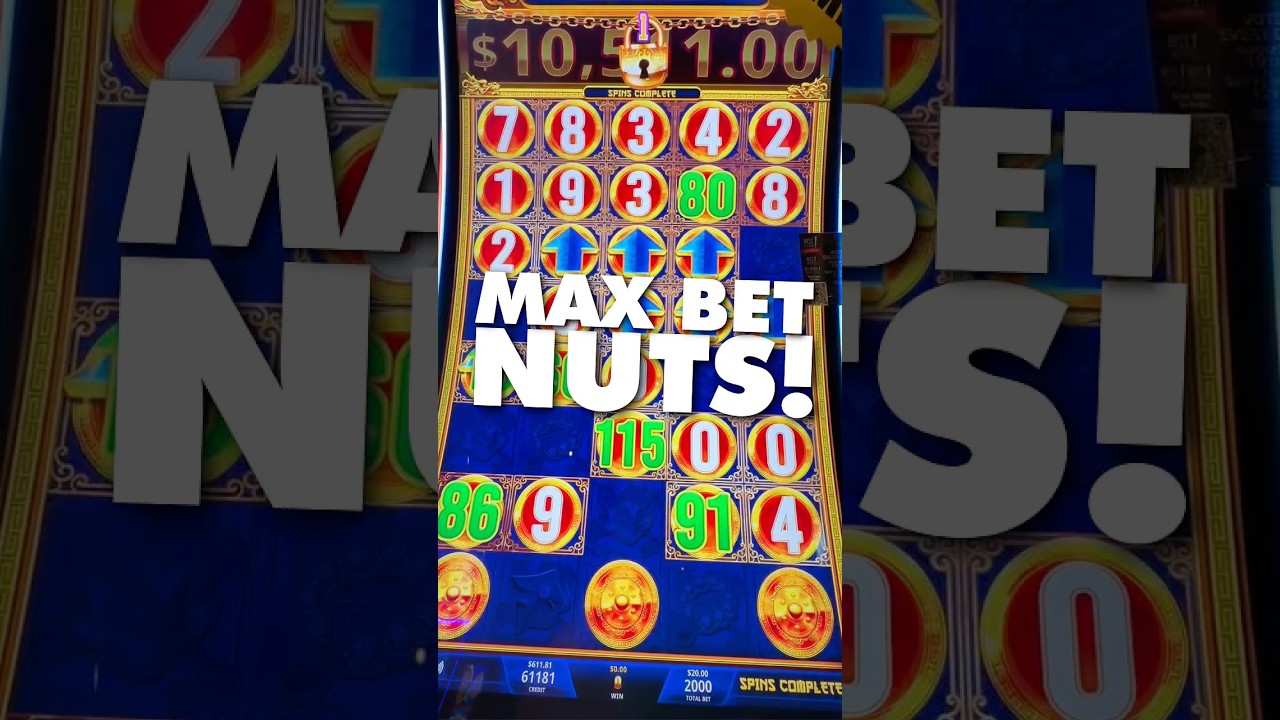 THE LONGEST AND NUTTIEST TIGER AND DRAGON MAX BET BONUS EVER! #shortsfeed #shorts #short #fyp