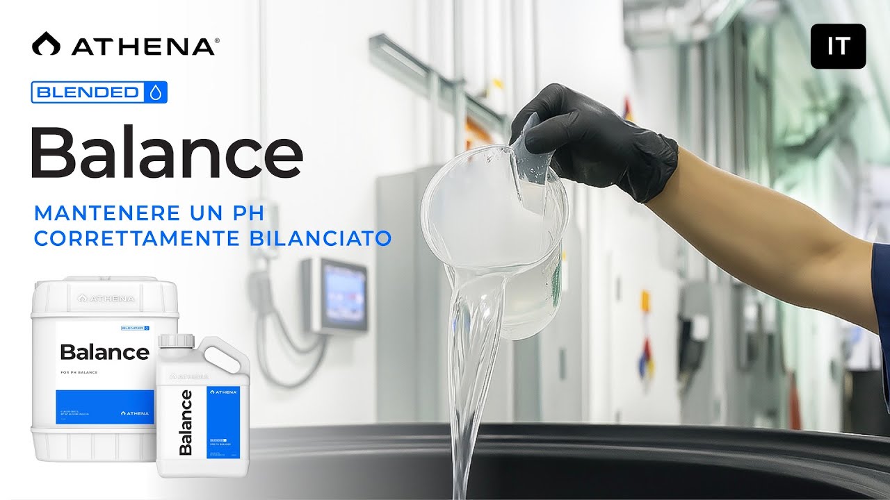 Athena Blended Balance – Mantenere un pH correttamente bilanciato