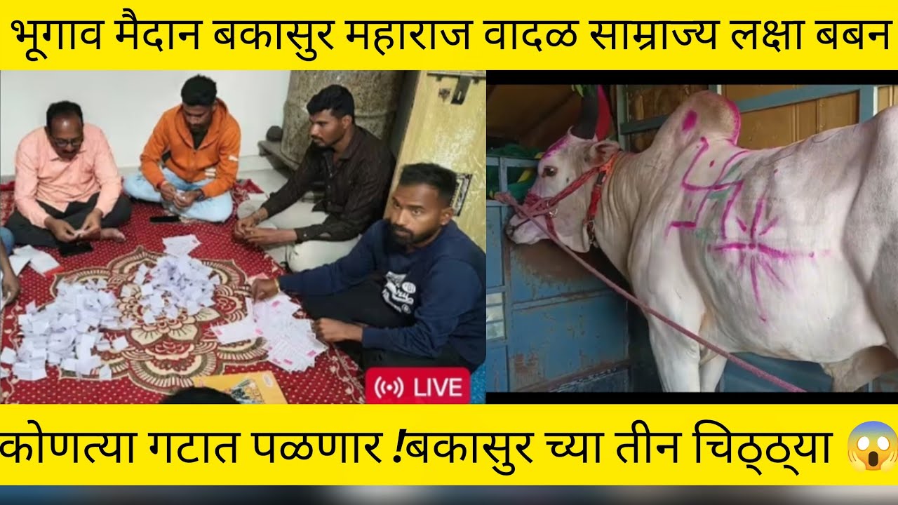 भूगाव मैदान बकासुर महाराज वादळ साम्राज्य लक्षा बबन शेठ कोणत्या गटात पळणार/बकासुर च्या तीन चिठ्ठ्या 😱