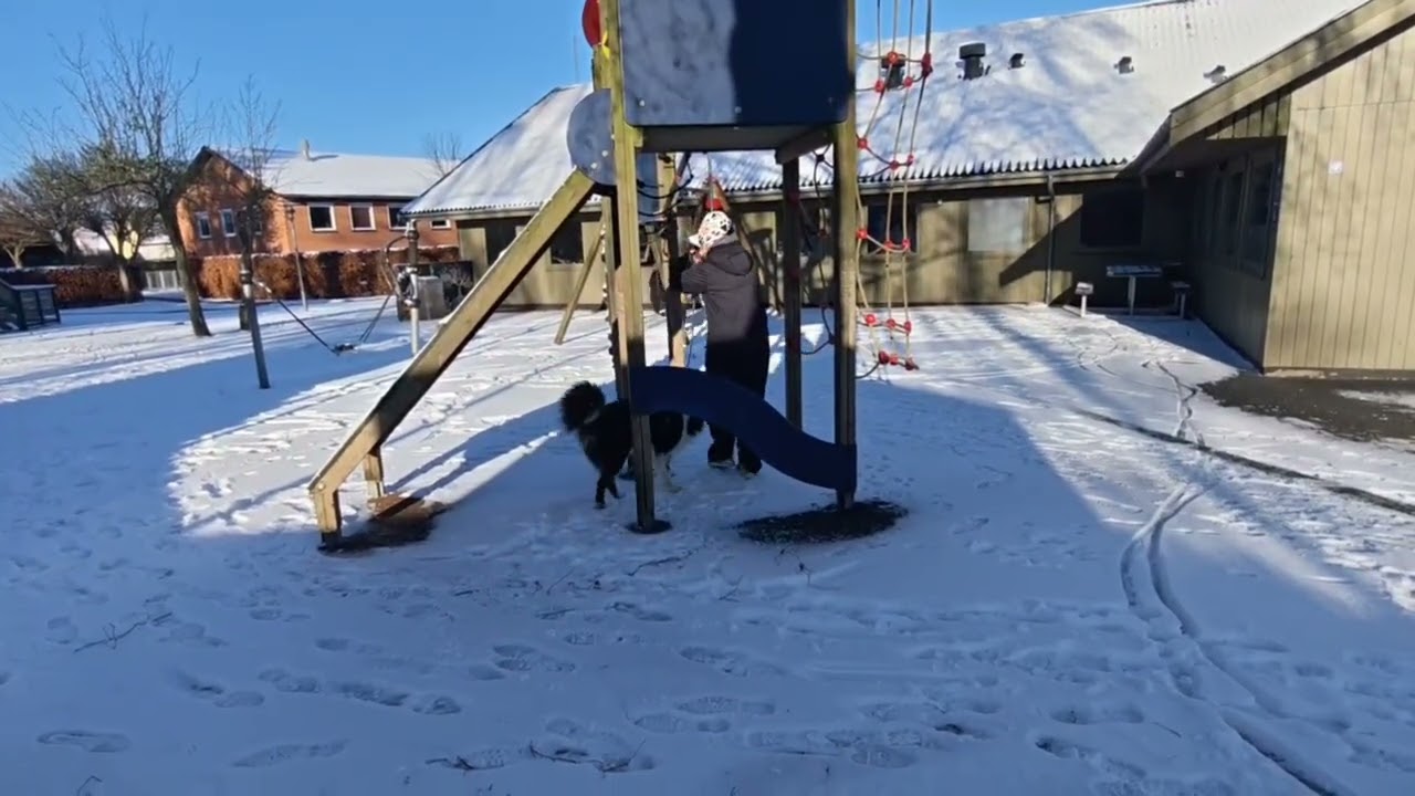 Filias winter sniff