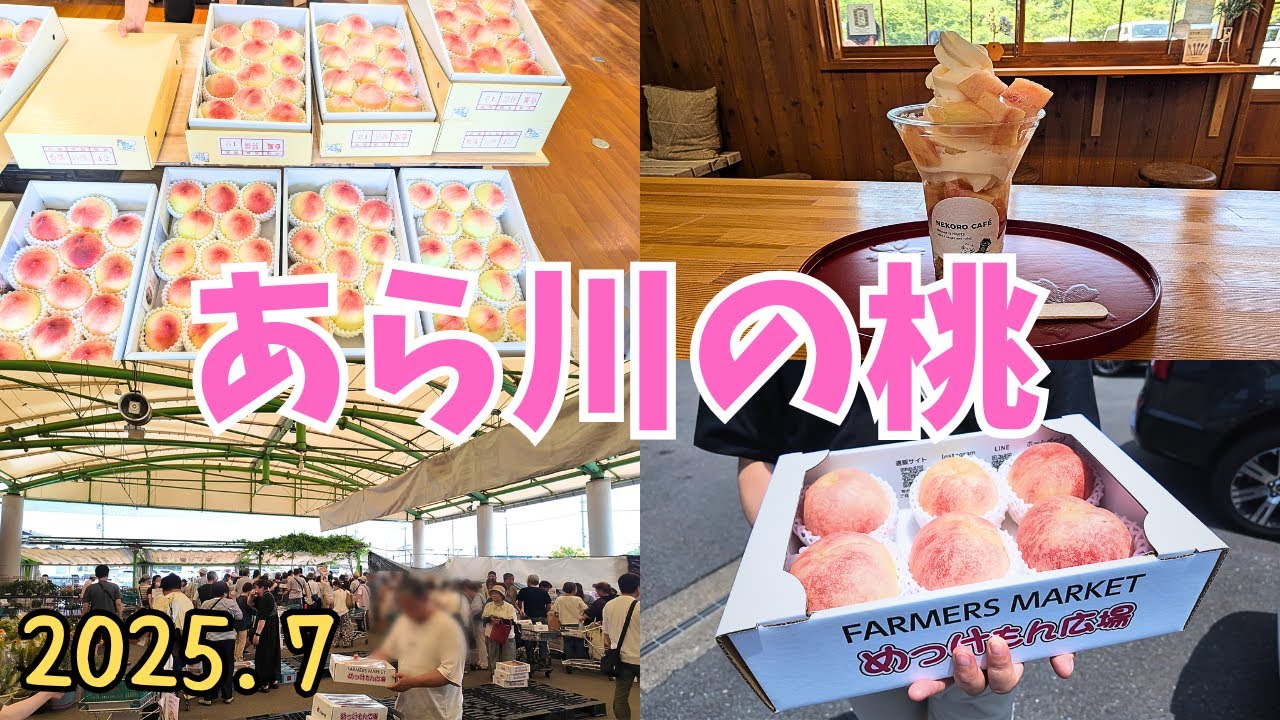 【和歌山】あら川の桃を求めて紀の川へ行ってきました🍑よってって貴志川店/めっけもん広場/白鳳