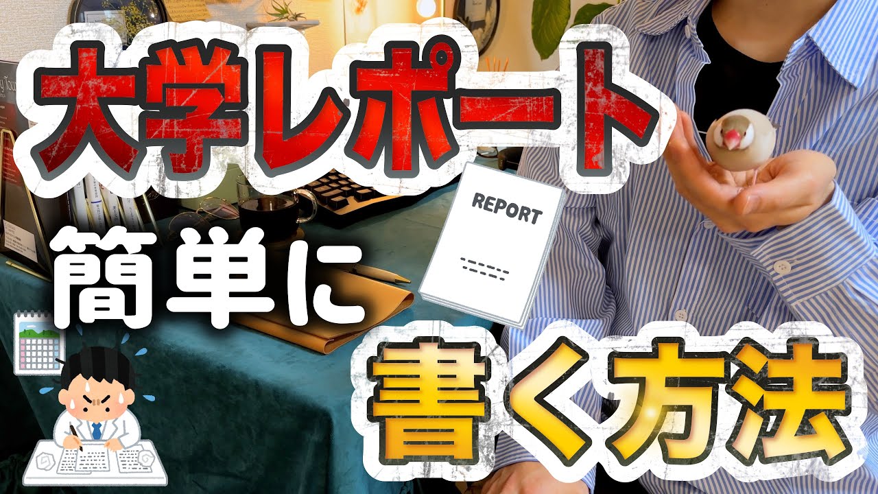 【レポート書き方】大学のレポートを簡単に書く方法と手順を解説【現役通信大学生】