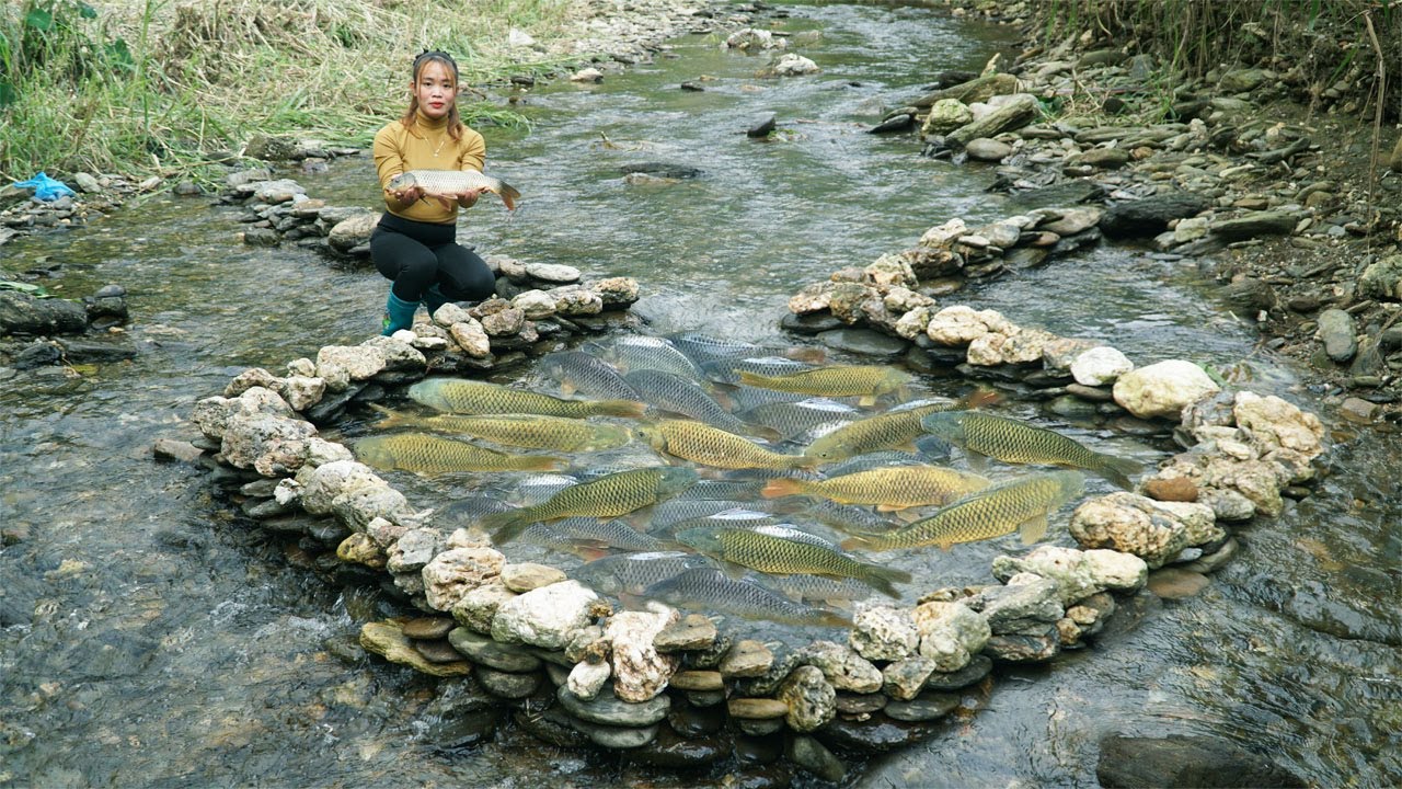 Simple Fishing Technique Using Stones in the Stream / Harvesting A Lot Of Fish Go To Sell