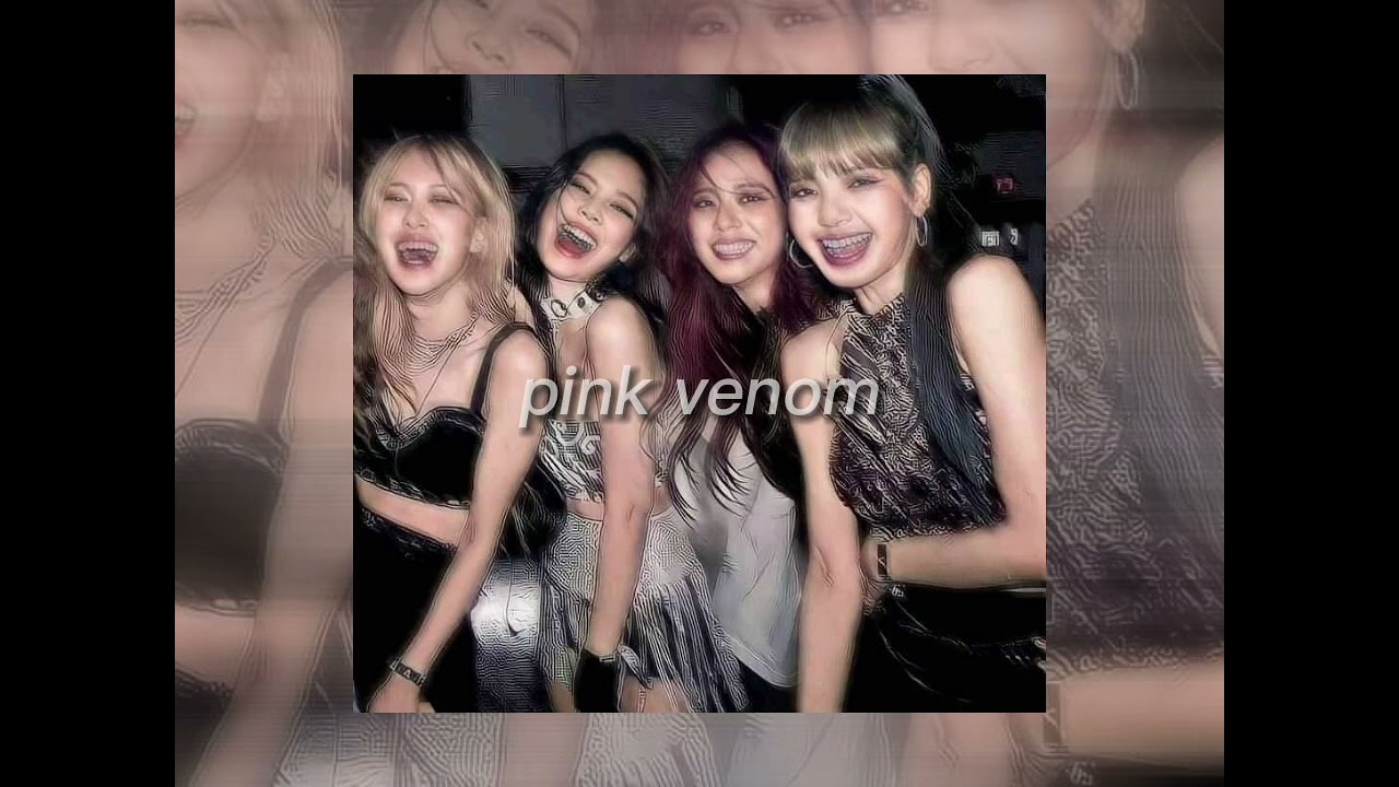 pink venom ( sped up )