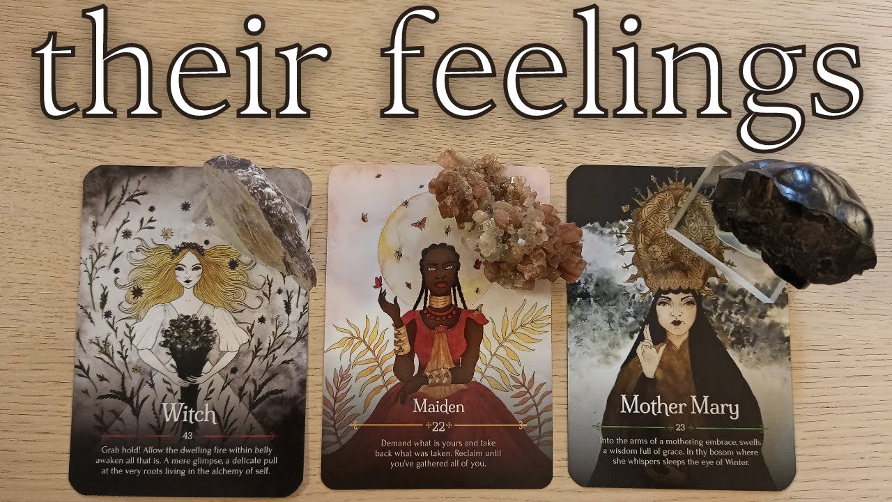THEIR FEELINGS FOR YOU! THEIR ACTIONS!  PICK A CARD TIMELESS TAROT READING