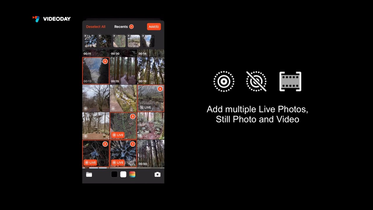 VideoDay: Introductory tutorial