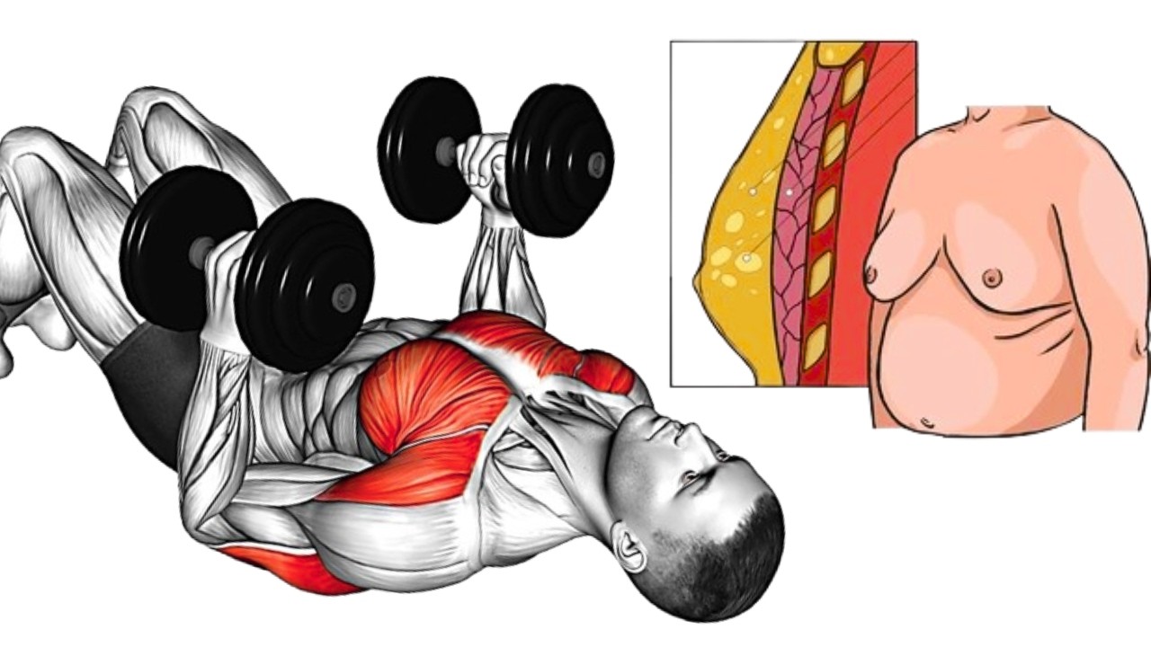 Get Rid of Man Boobs | Dumbbell Workout at Home