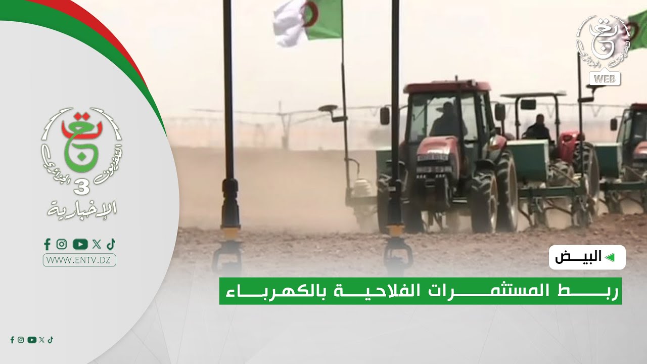 البيض - فلاحة | ربط المستثمرات الفلاحية بالكهرباء