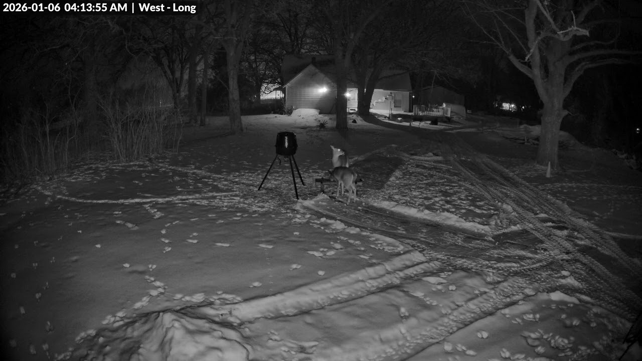 Animal Watch - 1/6/26