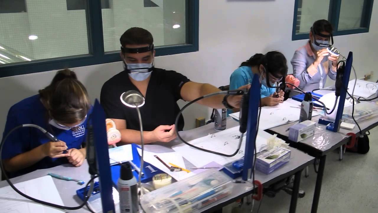 Introduction to Dentistry and Lab : Fall 2013 Class