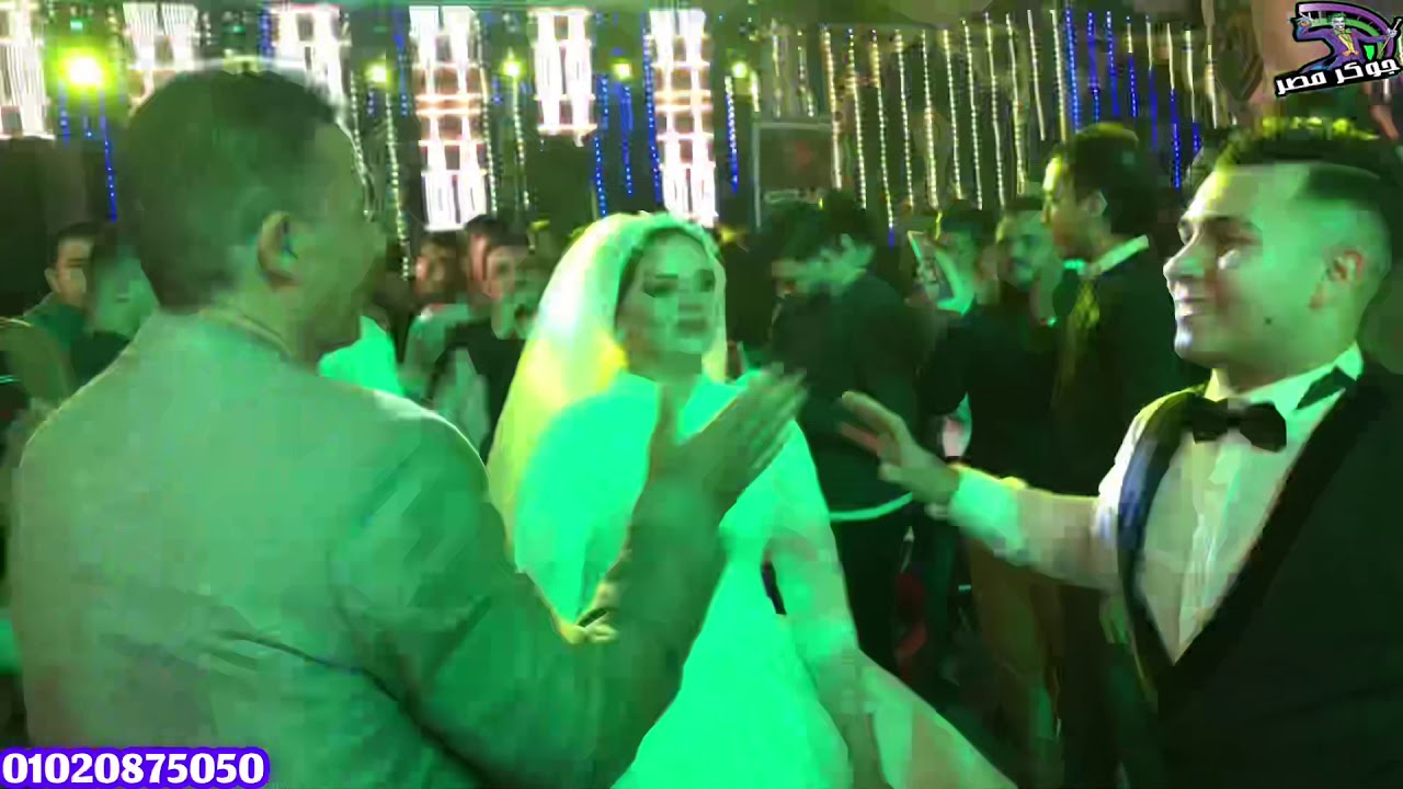 استقبال الدلوعه احمد التونسي الغمراوي اوشا مصر محمداوشامليونيه اولاد الجارحي برعايه الريس محرم زهران