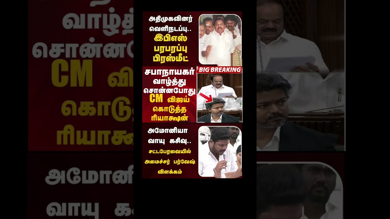 TVK thalapathy vijay love #tvk #dmk #tamil #congress #bjp