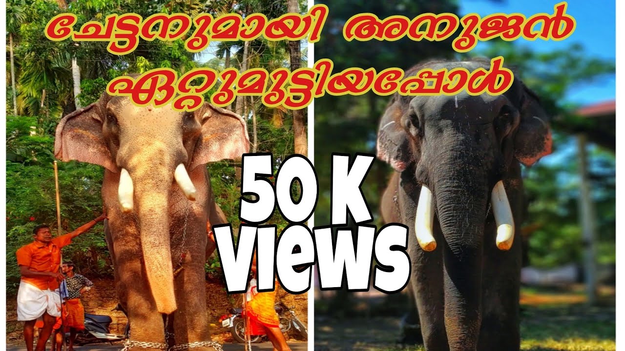 ചേട്ടനും അനുജനും ഏറ്റുമുട്ടിയപ്പോള്‍ Thechikkotukavu Ramachandran Thechikkotukavu Devidasan
