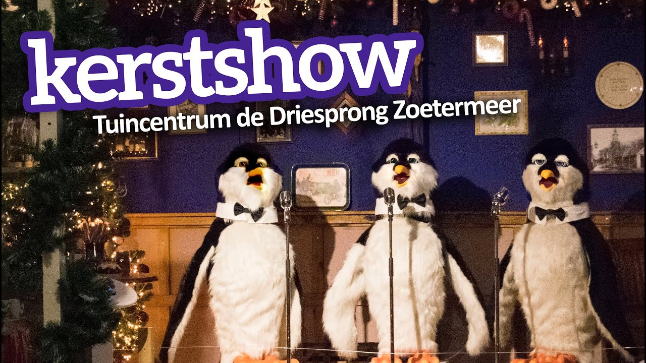 Tuincentrum de Driesprong kerstshow 2019