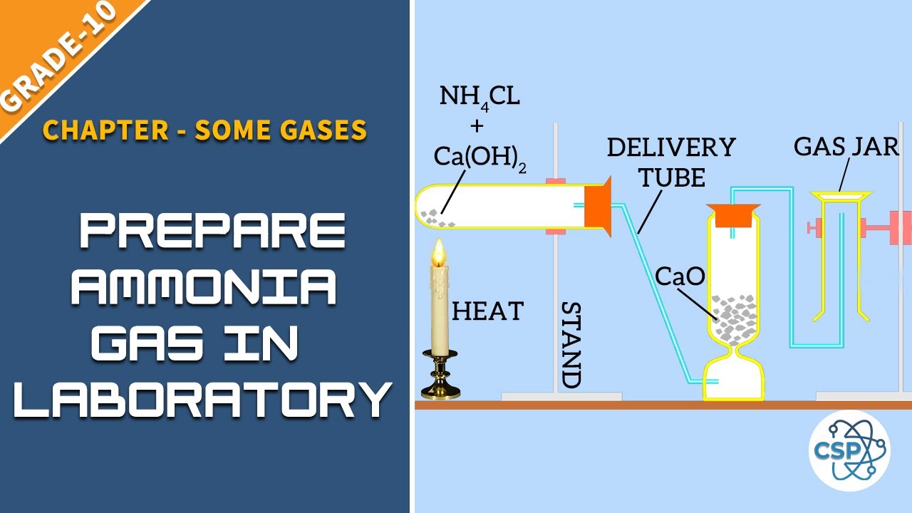 To Prepare Ammonia Gas In Laboratory | NEB Class-10