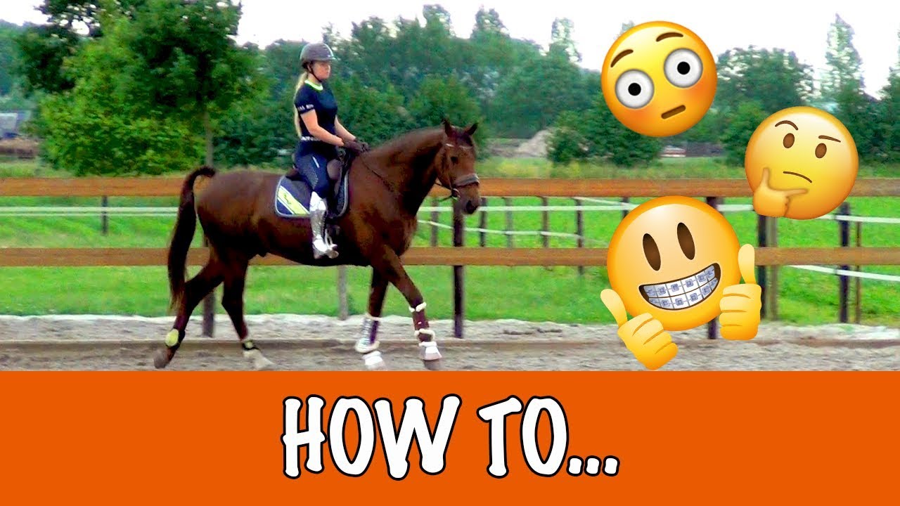 Voel je beter met een paard als vriend! | PaardenpraatTV