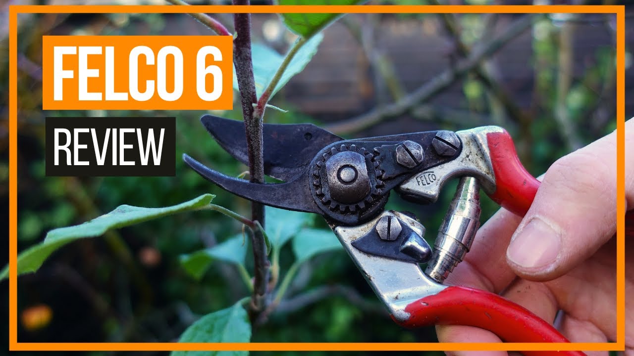 Обзор компактного секатора Felco 6
