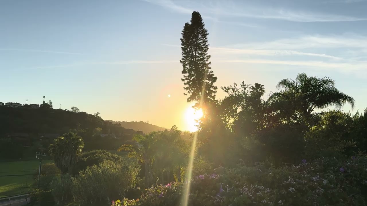 A Backyard Somewhere Sunset No. 3