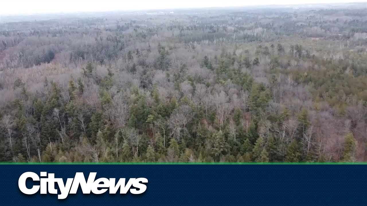 Integrity Commissioner investigating Ford government's Greenbelt plans