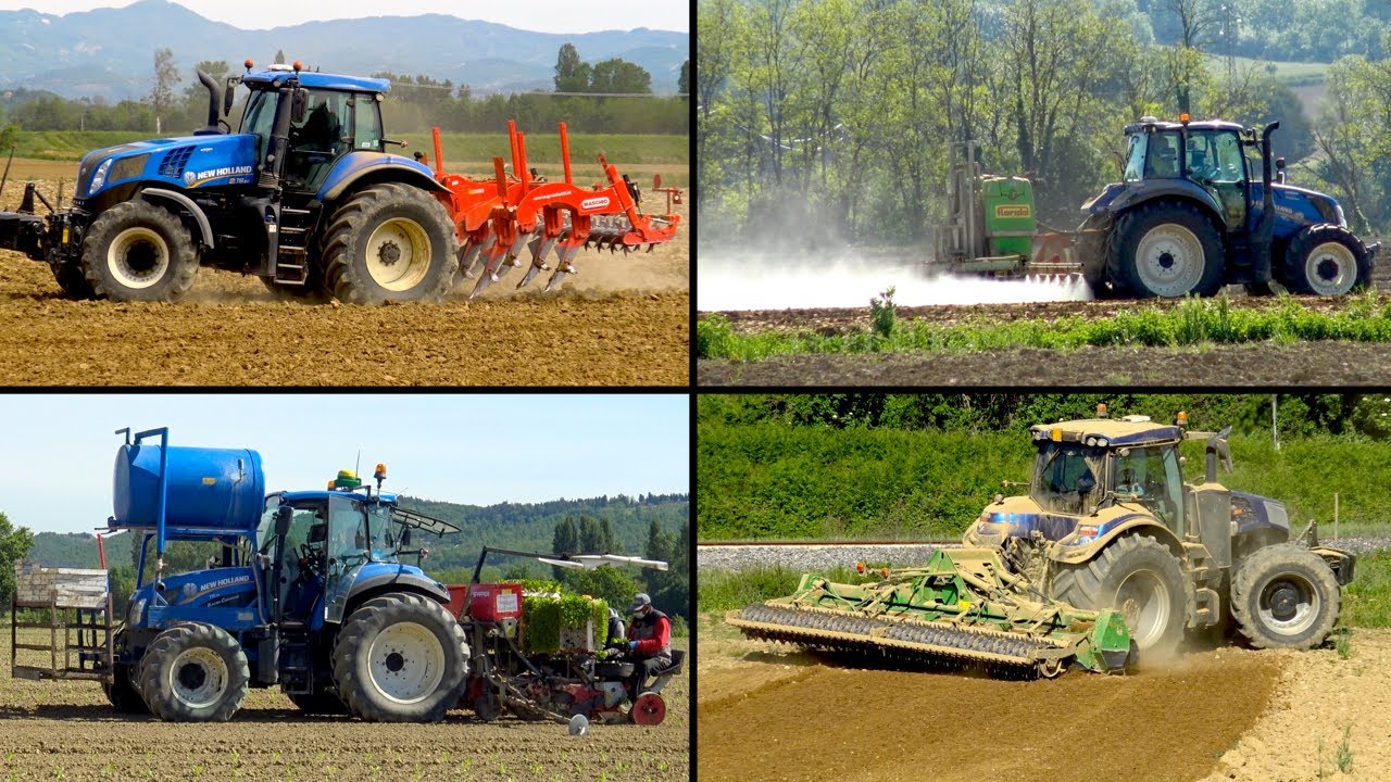 7X NEW HOLLAND IN CAMPO!