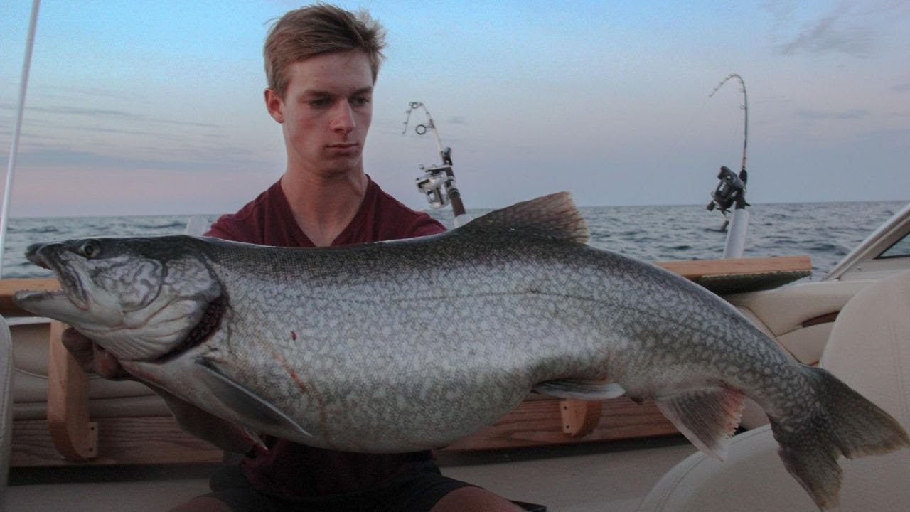 MONSTER LAKE TROUT Fishing in Milwaukee