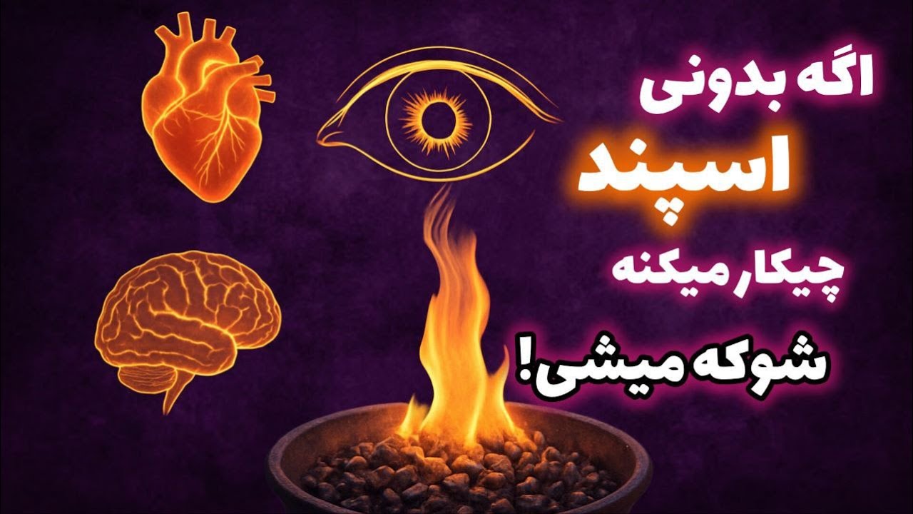 آیا با فواید و خواص شگفت انگیز اسپند آشنایی دارید ؟ | اسپند