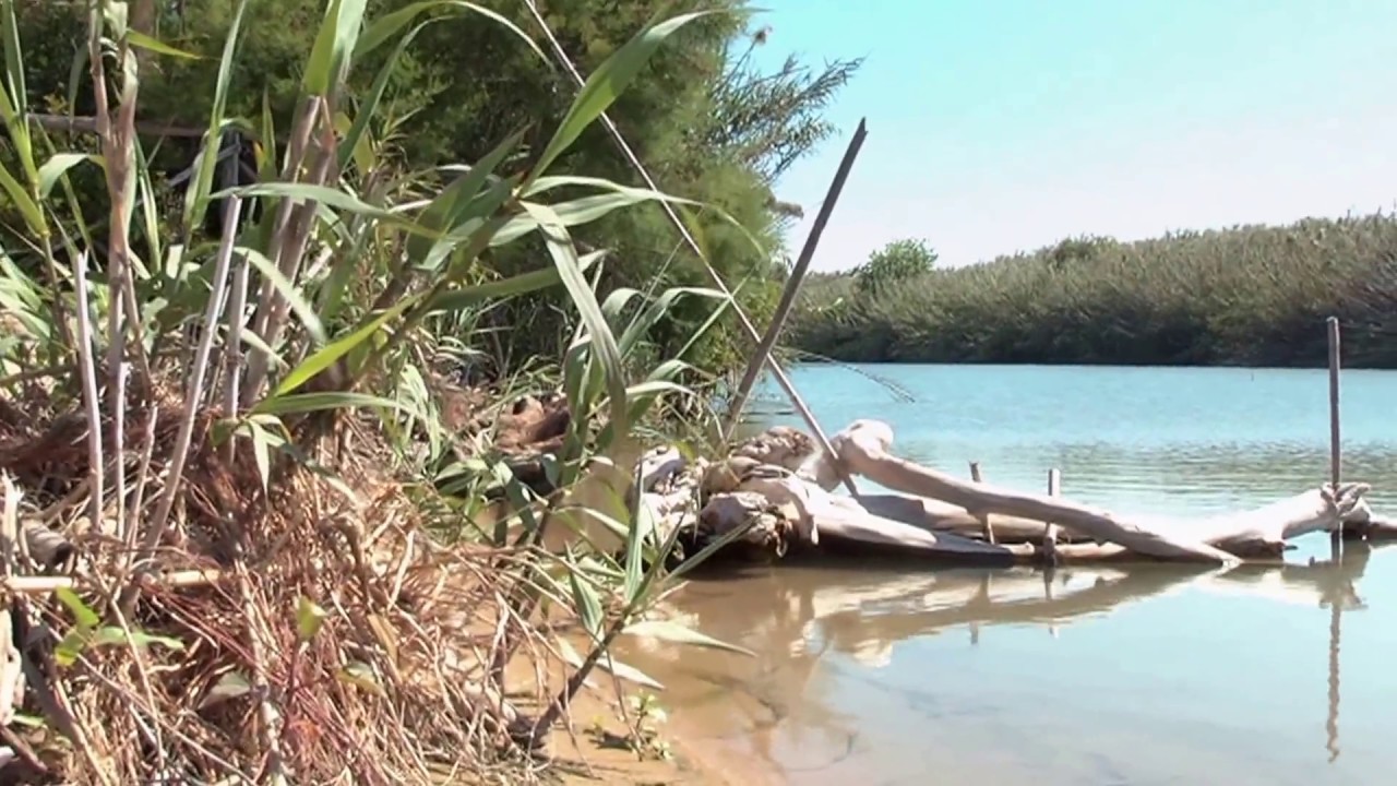 Ragusa , Riserva naturale Macchia Forestale e foce del Fiume Irminio .