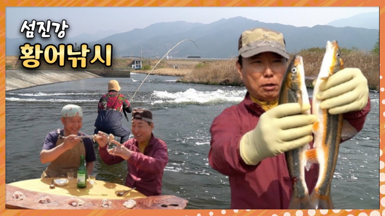 Когда цветет вишня, стаи желтых горбылей подходят к реке Сомджин, и мы ловим их рыбалкой~