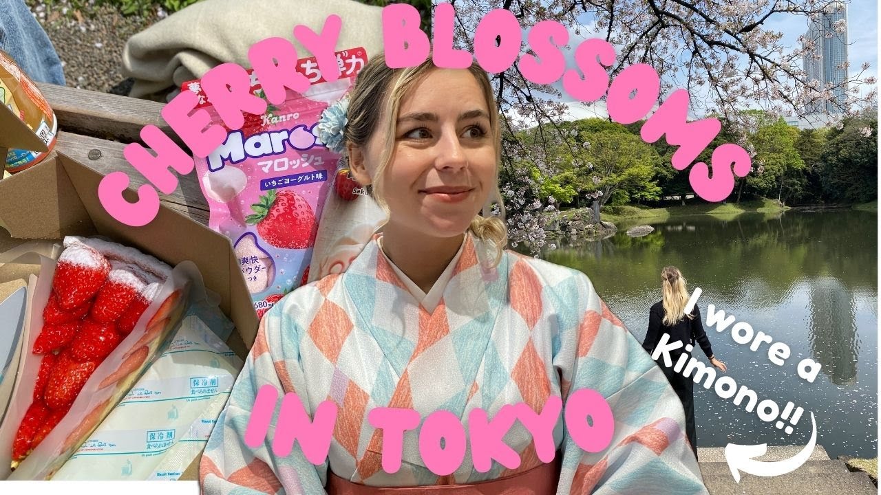A week in Tokyo: I saw the cherry blossoms!