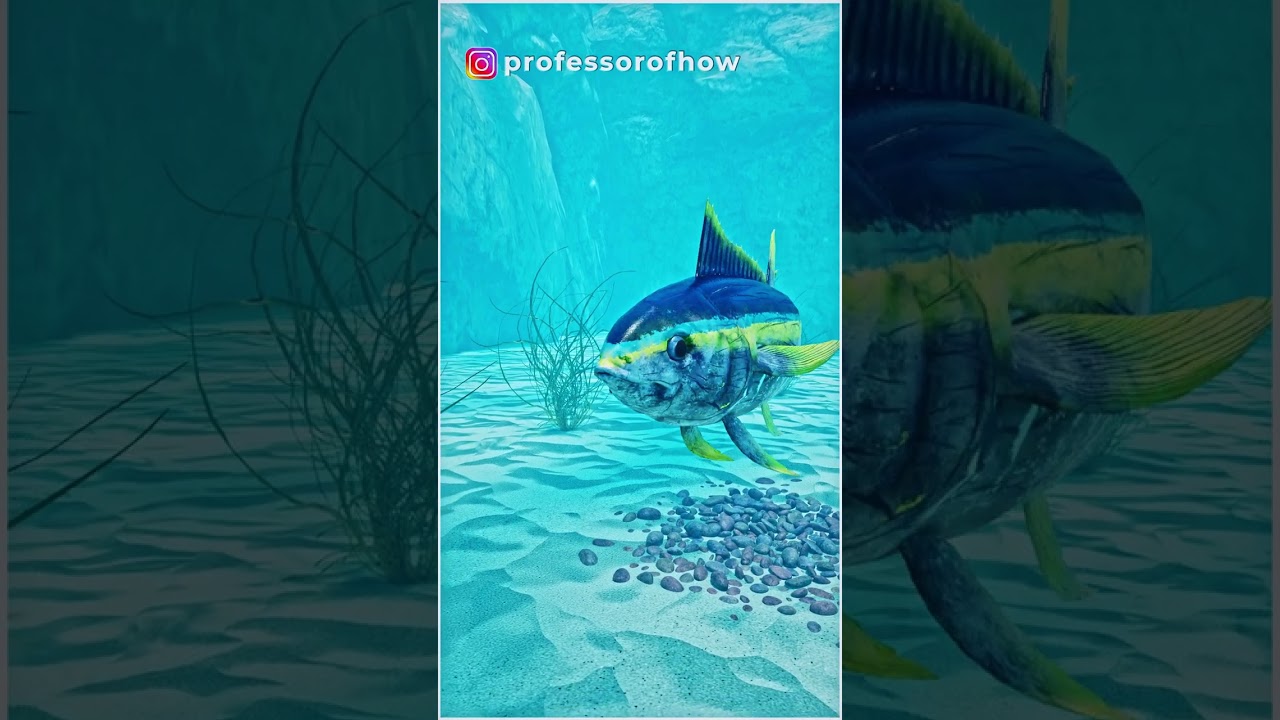How do Fish Breath Underwater? 